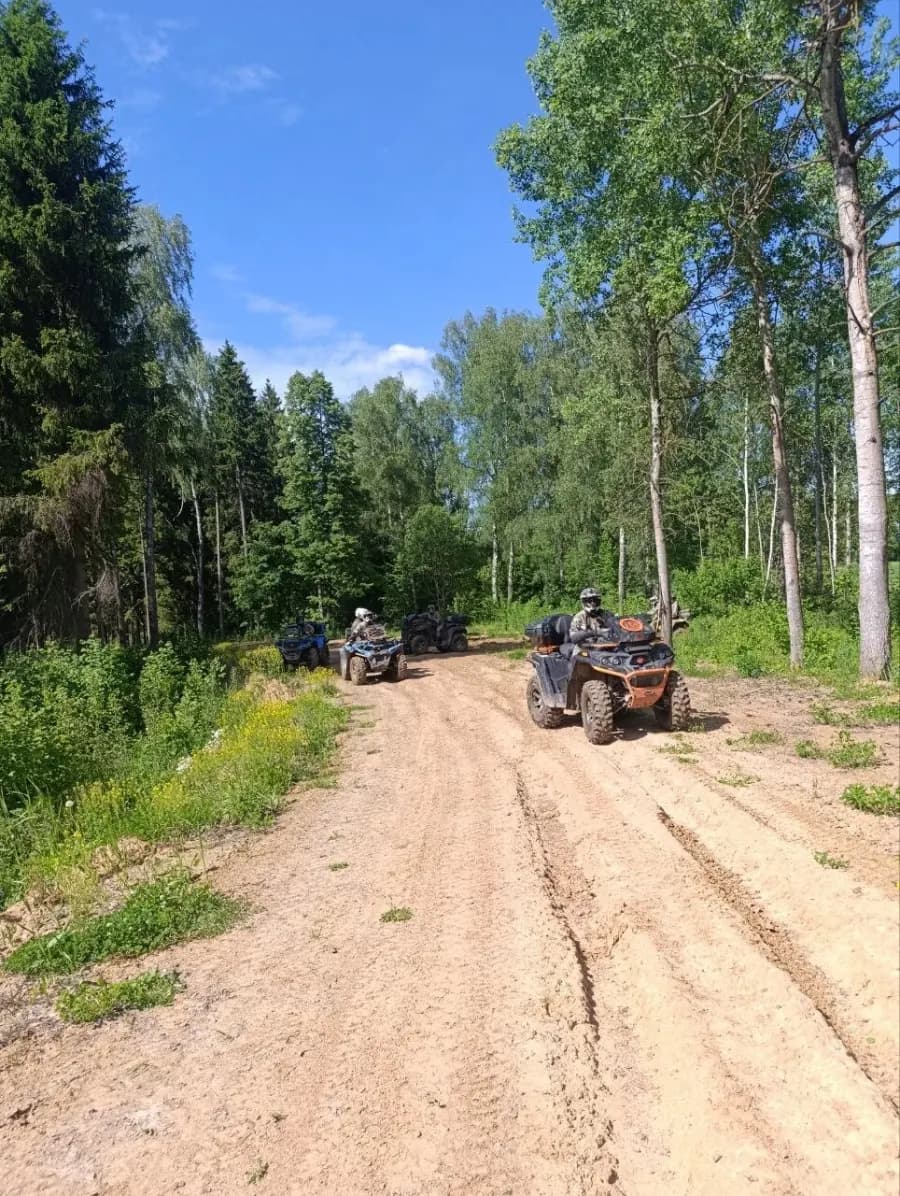 Колонна квадроциклов на лесной дороге